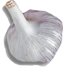 Knoblauchknolle