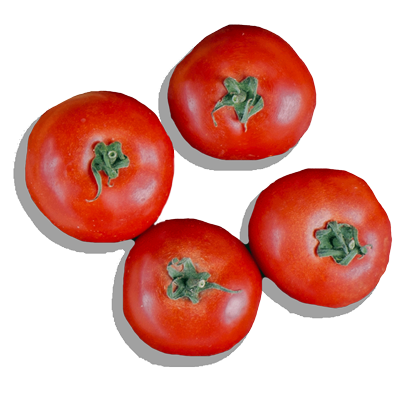 Tomaten